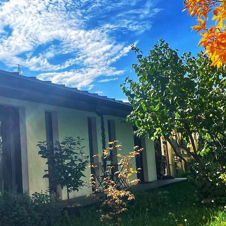 #Outofboxproject Tiny-Home And Garden House ทิมิชัวรา ภายนอก รูปภาพ