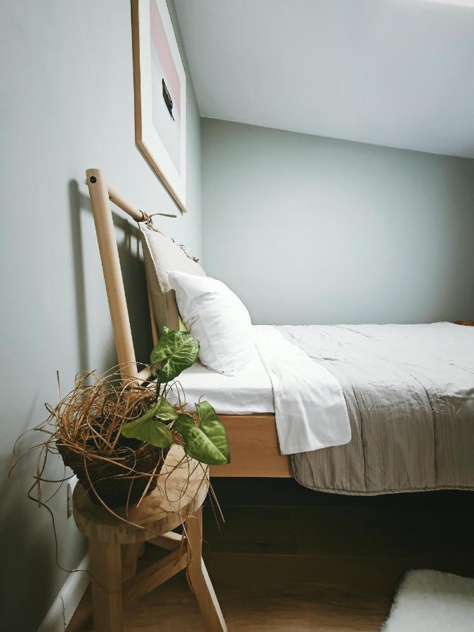 #Outofboxproject Tiny-Home And Garden House ทิมิชัวรา ภายนอก รูปภาพ